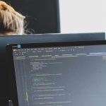FullStackWebDev
